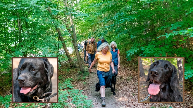 2025 06 19 02 Kleine Lieblingsrunde über Bad Harzburg