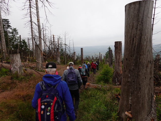 2025 06 27 Wanderung 1