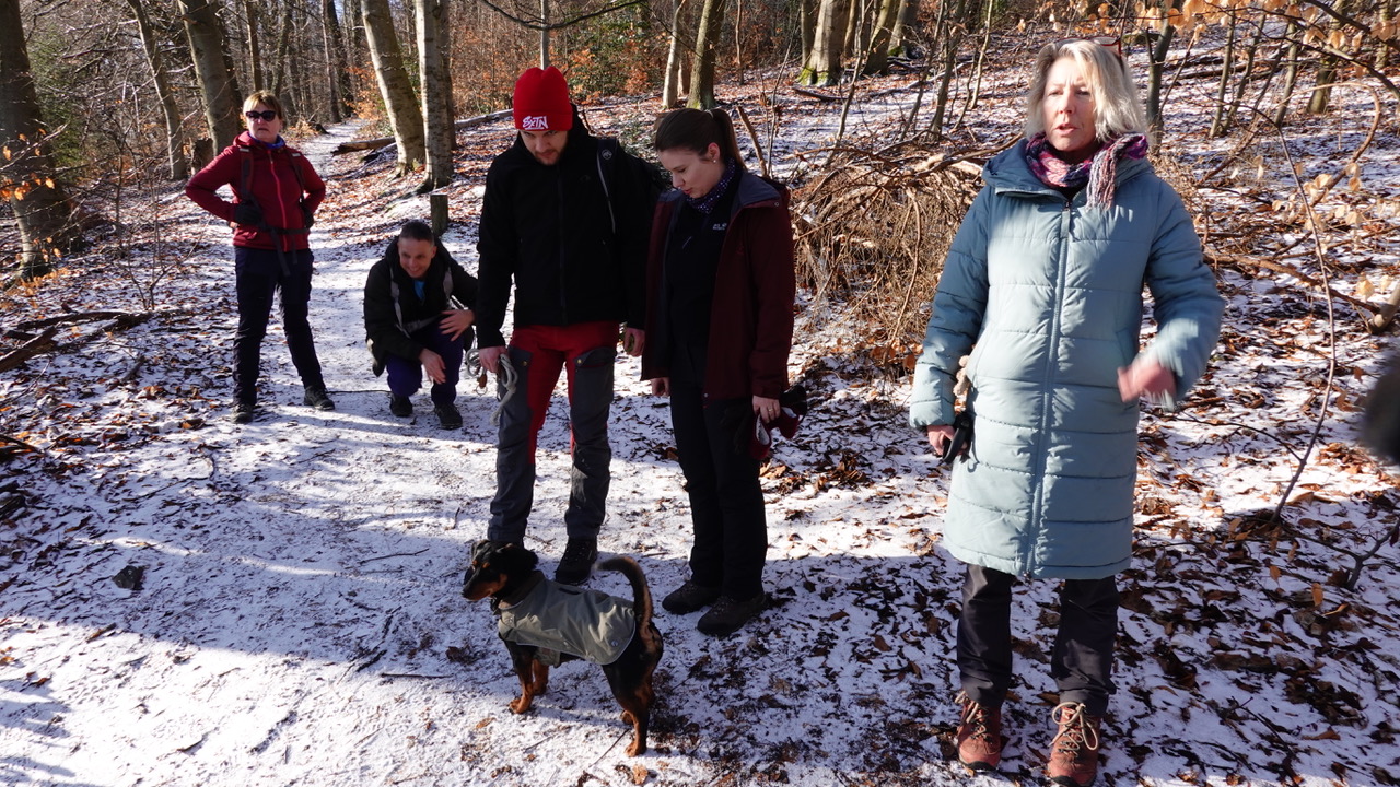 2026 02 15 Anwandern 2