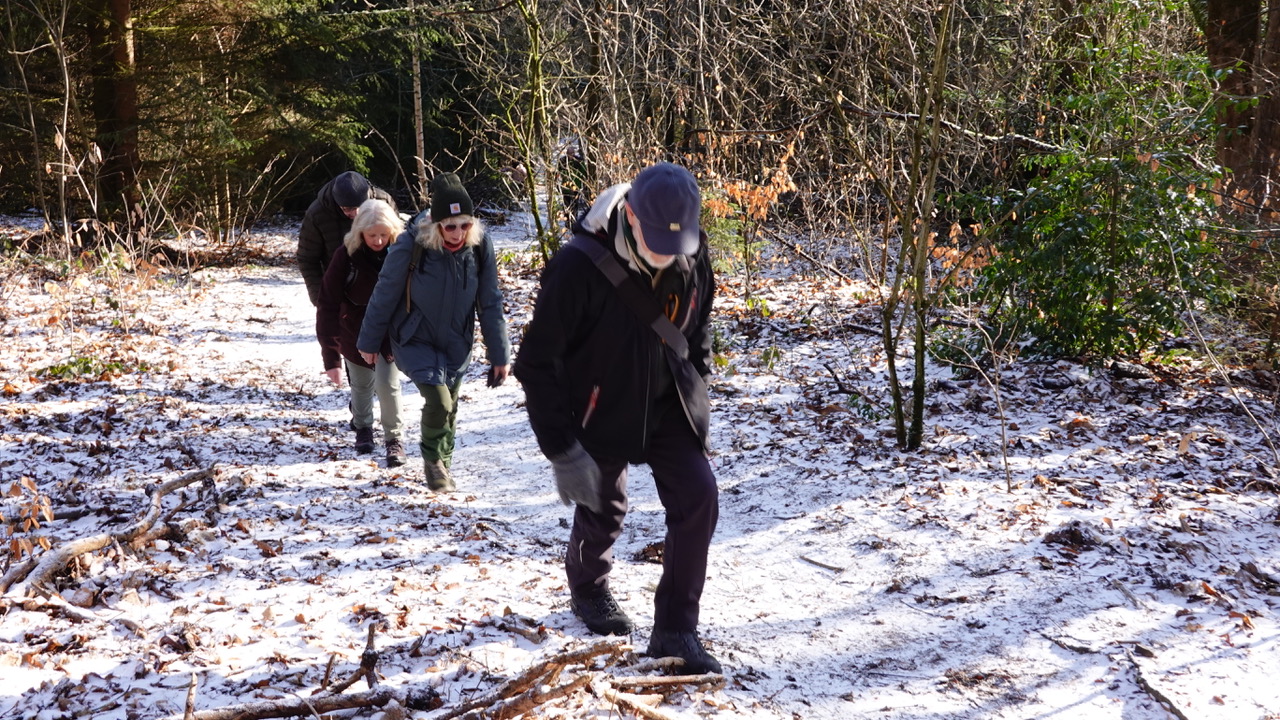 2026 02 15 Anwandern 4