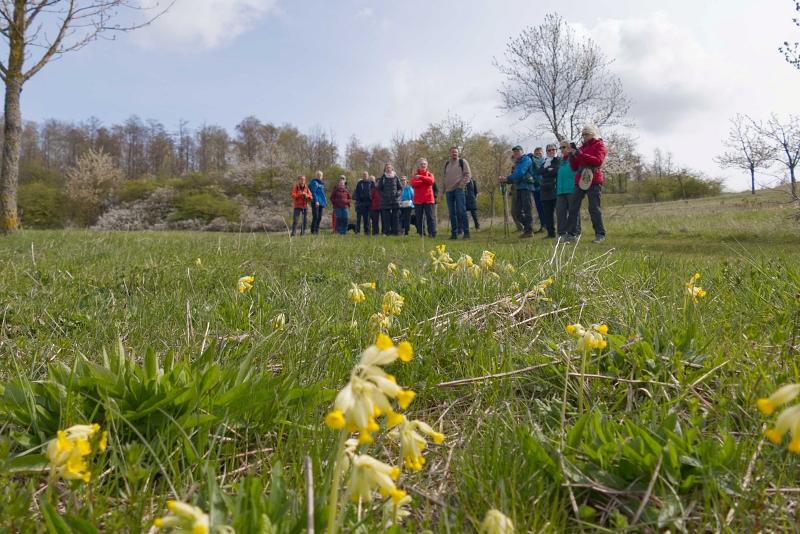 2026 04 12 Wanderung 11