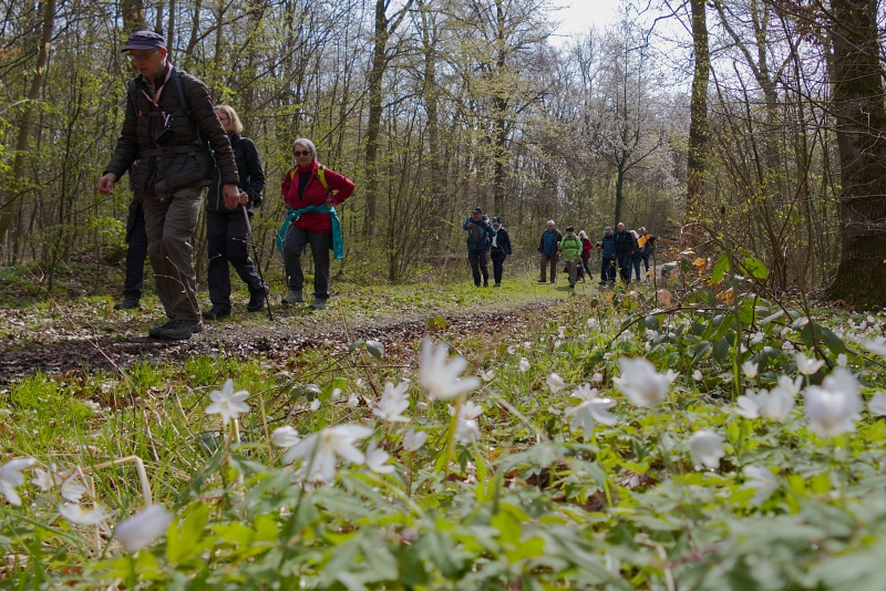 2026 04 12 Wanderung 7