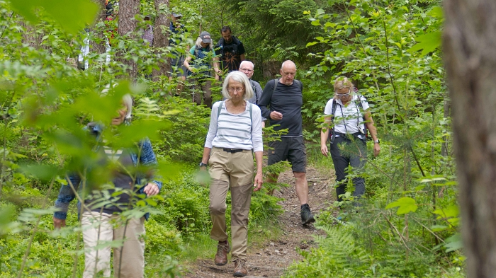 2026 06 04 1 Stadtwald Goslar