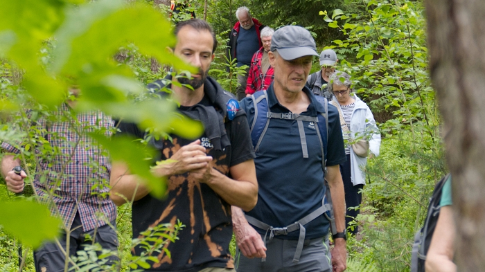 2026 06 04 3 Stadtwald Goslar