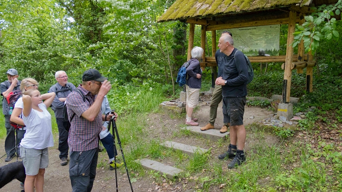 2026 06 04 7 Stadtwald Goslar