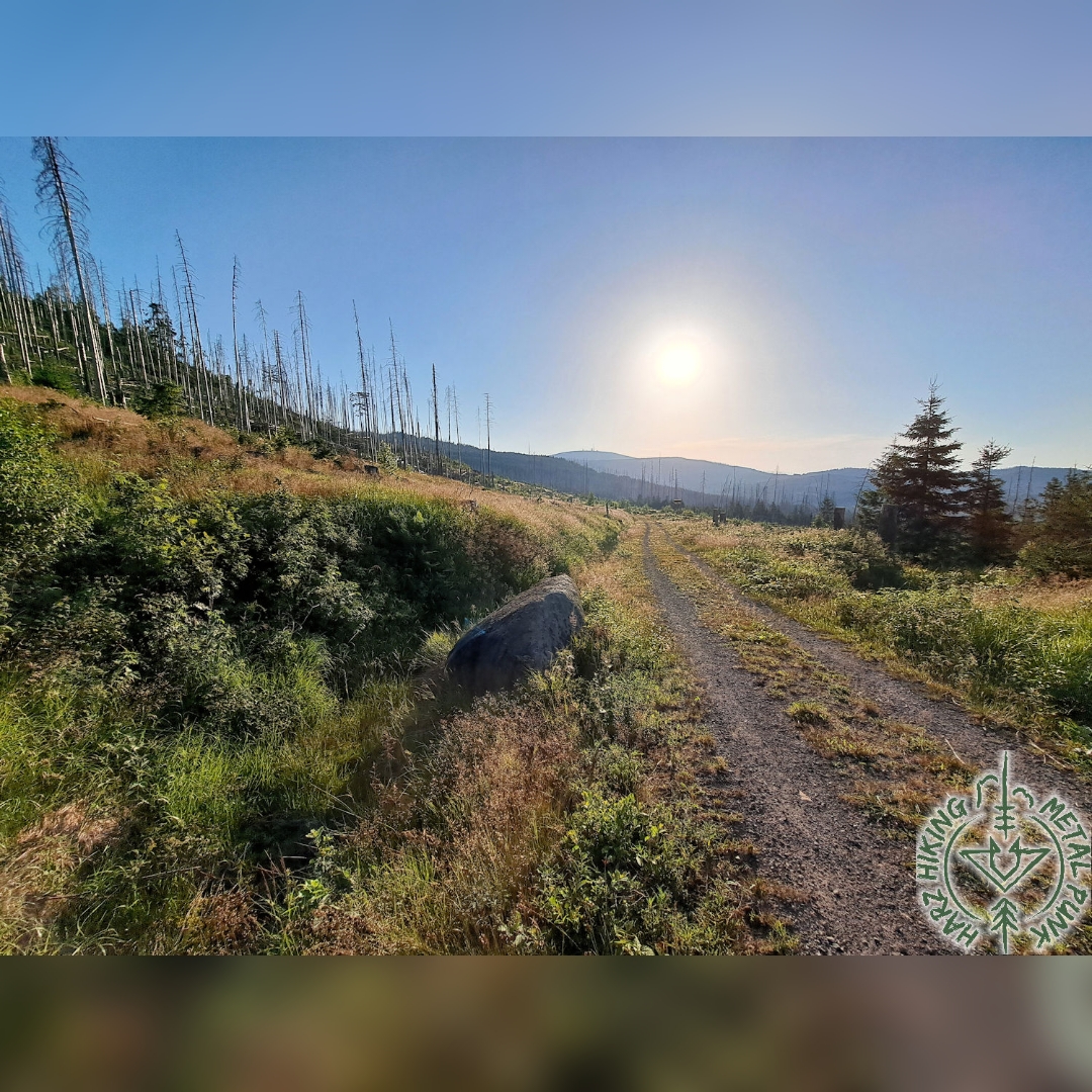 2026 06 26 Wanderung 1