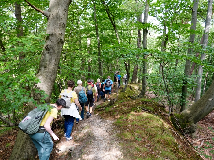 2026 07 26 Wanderung 1